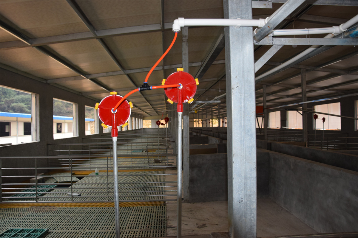 Pig Water Bowl sa Pig Farming Equipment001