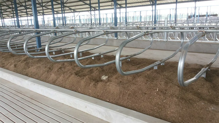 cattle stall dividers for sale