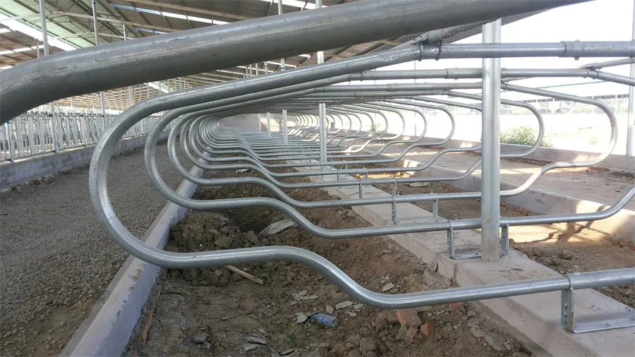 cattle stall dividers