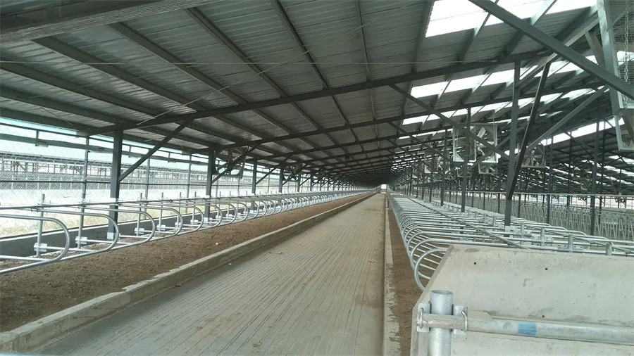 cattle stall dividers
