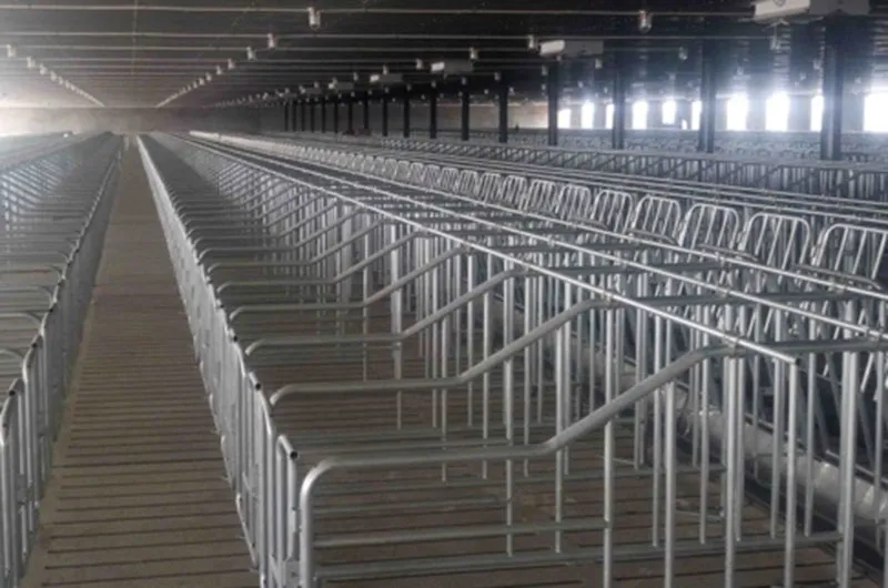 gestation crates for sows gestation crates for sows