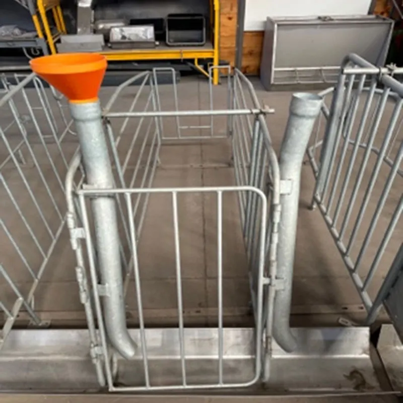 gestation crates for sows gestation crates for sows