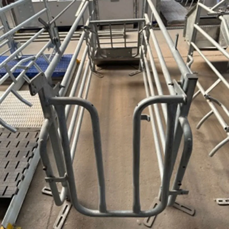 gestation crates for pregnant sows gestation crates for pregnant sows