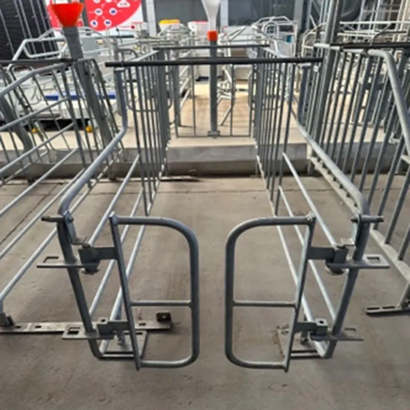 gestation crates for pregnant pigs gestation crates for pregnant pigs