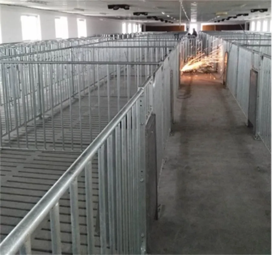 gestation pens for pigs gestation pens for pigs