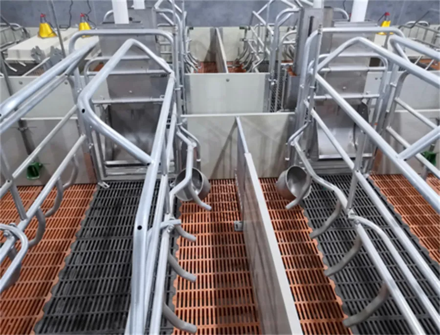 farrowing crates for pigs for sale farrowing crates for pigs for sale