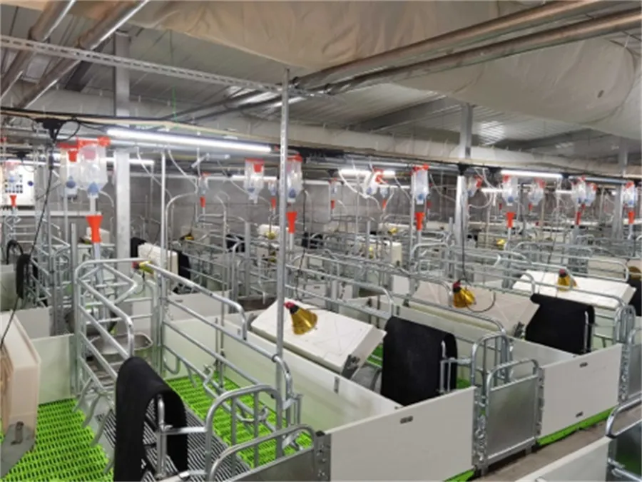 sow farrowing crates for sale sow farrowing crates for sale