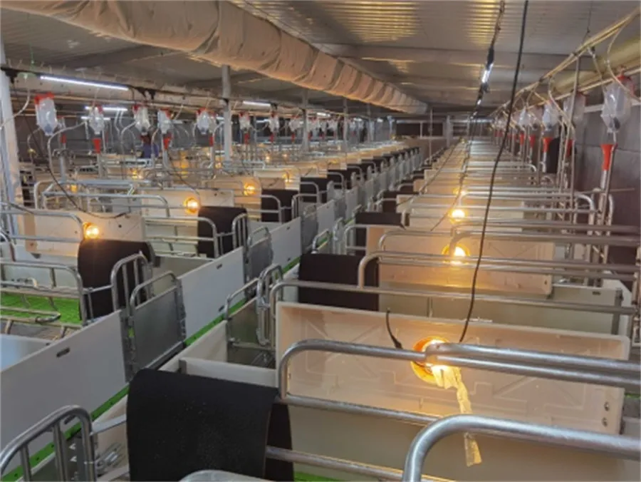 swine farrowing crates for sale swine farrowing crates for sale