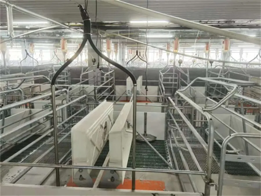 farrowing crates for pigs for sale farrowing crates for pigs for sale