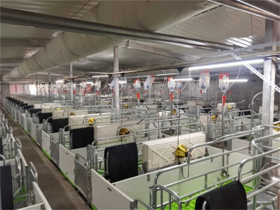 sow farrowing crates for sale sow farrowing crates for sale