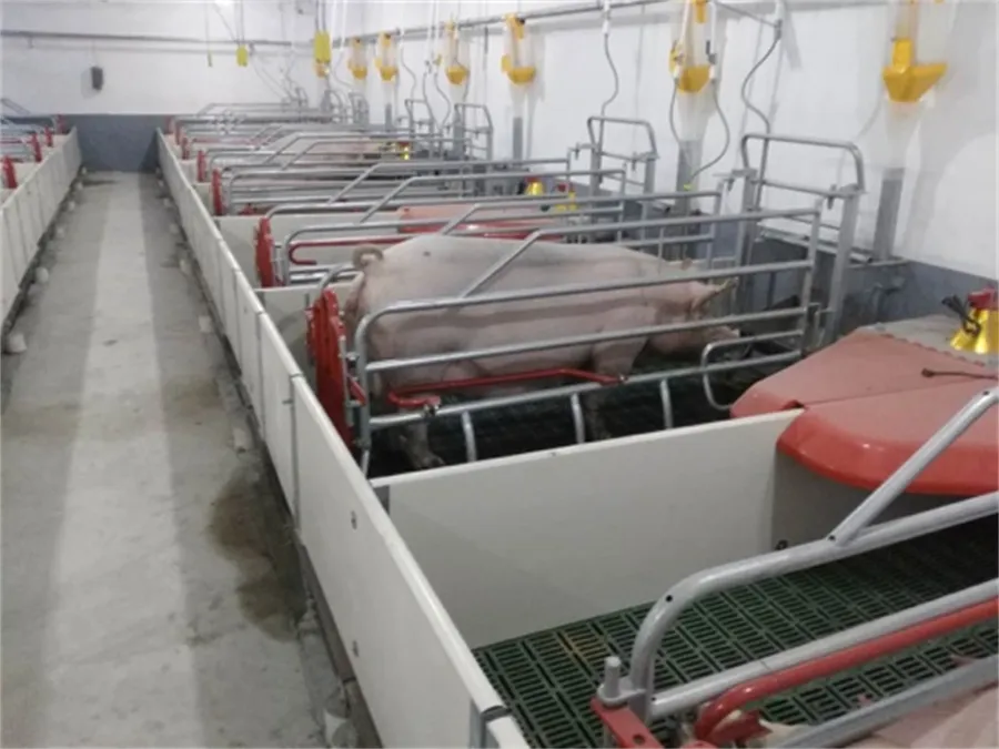 swine farrowing crates for sale swine farrowing crates for sale