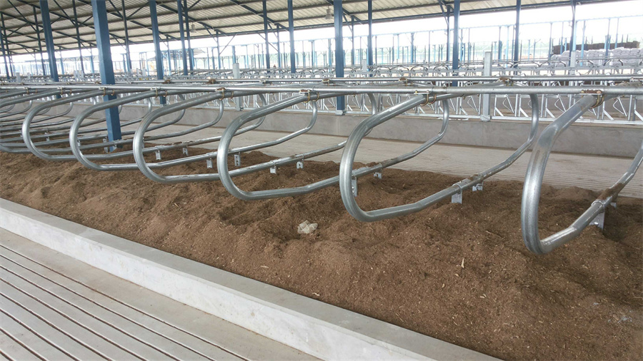 Cattle Lying Bed for Cattle Farming Equipment01
