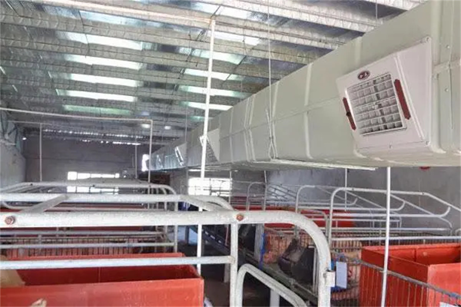 Cooler and Heater in Pig Farming Equipment04