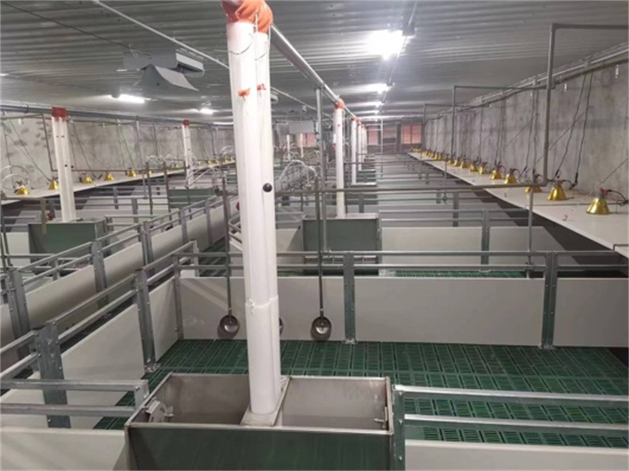 Weaner Nursery Stall in pig farming equipment01